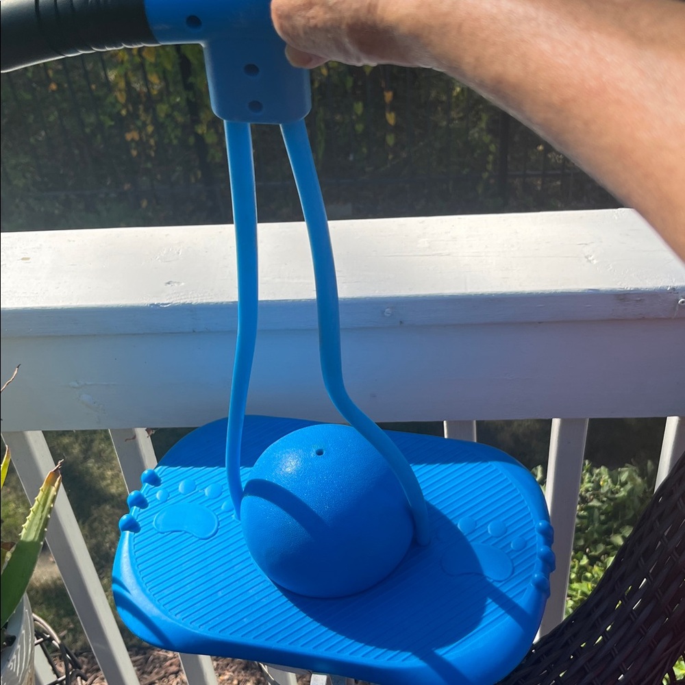 Source Unknown Blue Balance Board